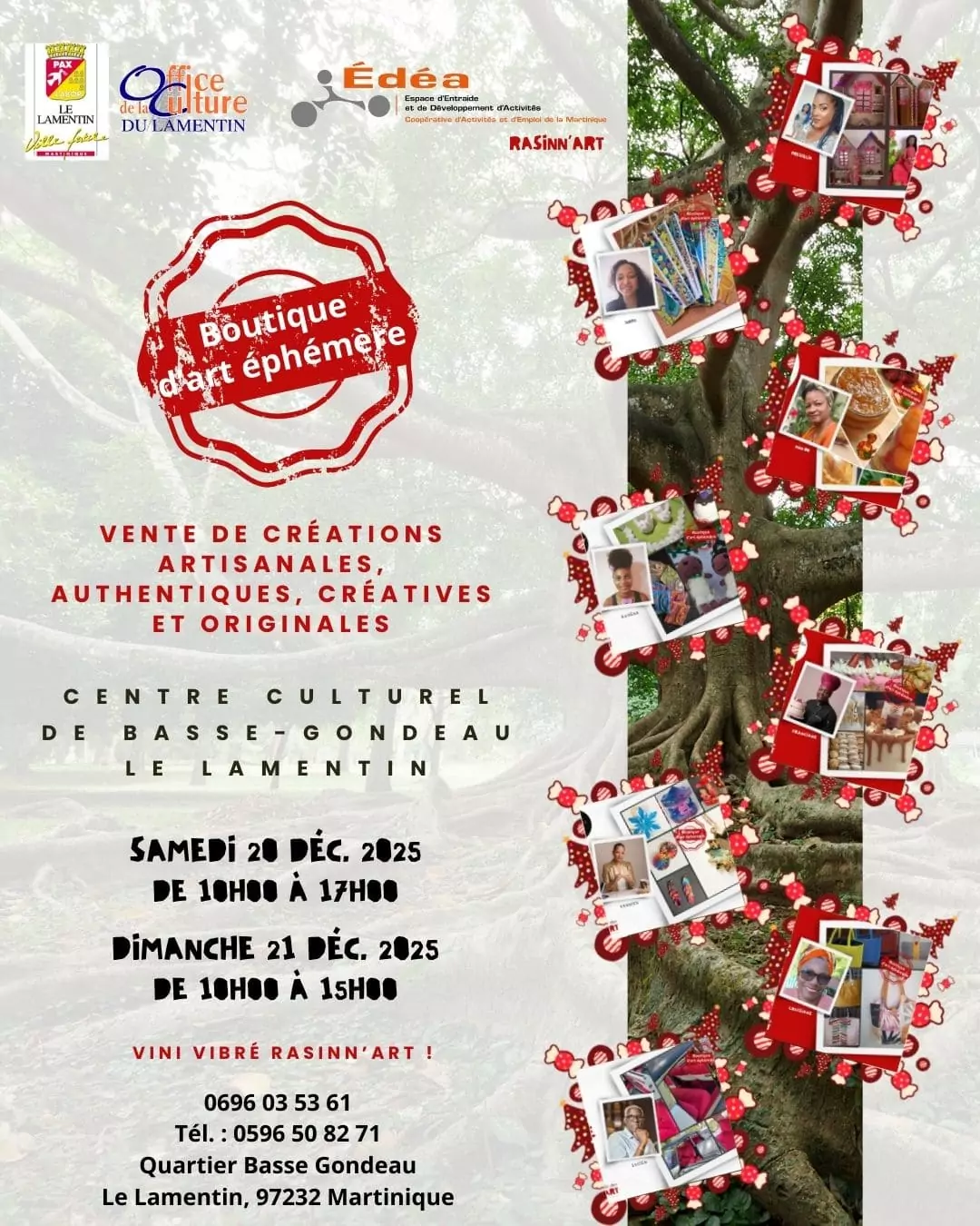 IMG-20251212-WA0009(1)