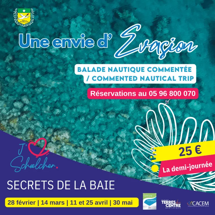 e49982106c1e7c75a0e244bd52fa27d1_700_600_landscape_97(1)