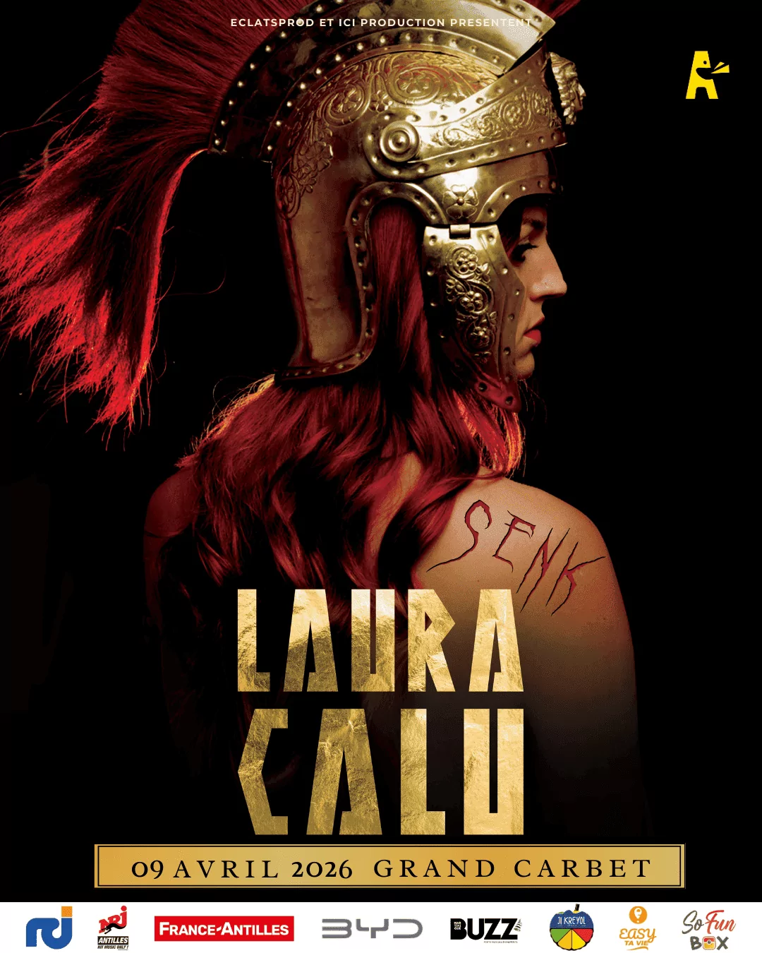 LAURA CALU POST 2 (2)(1)(1)